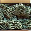Sea Turtle Poncho